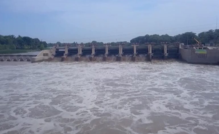 Piura: Hectáreas de cultivos informales dejarían sin agua a miles de agricultores