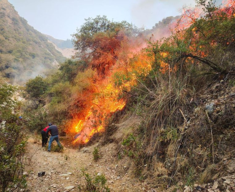 Cifra de fallecidos por incendios forestales se eleva a 20