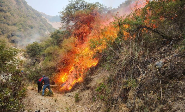 Cifra de fallecidos por incendios forestales se eleva a 20