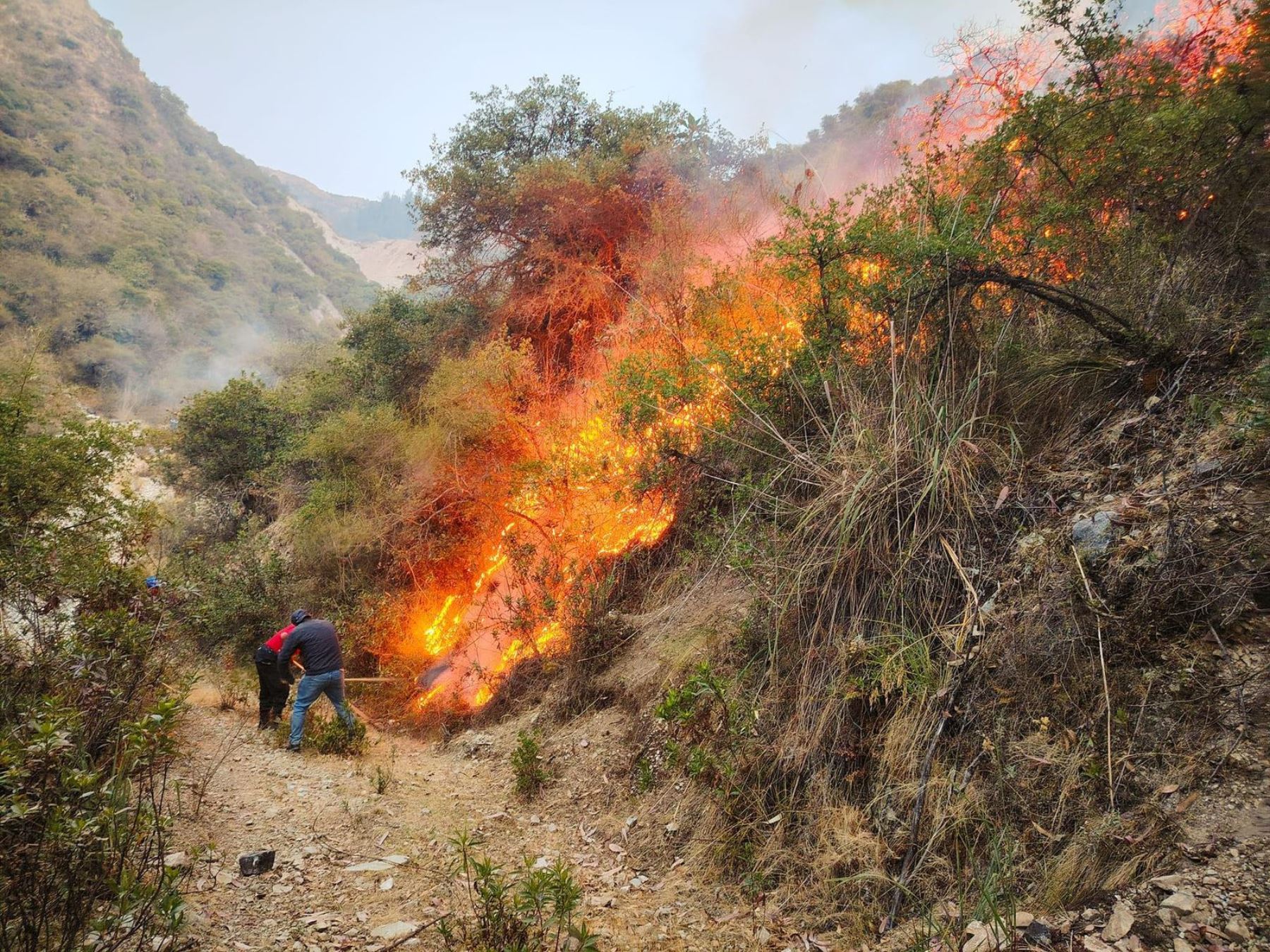 Cifra de fallecidos por incendios forestales se eleva a 20