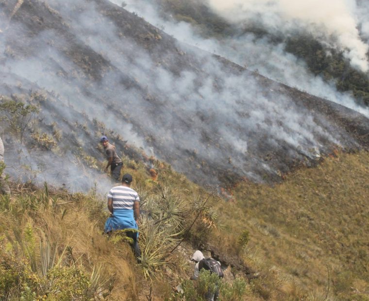 Ayabaca: Aeronave especializada de la FAP realiza operaciones para combatir incendio forestal