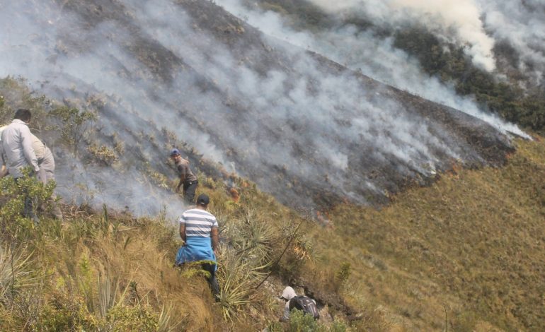 Ayabaca: Aeronave especializada de la FAP realiza operaciones para combatir incendio forestal