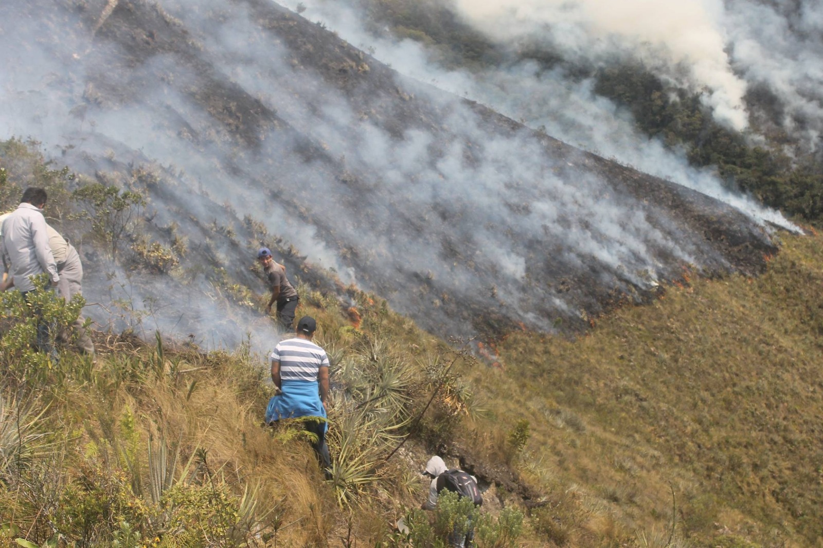 Ayabaca: Aeronave especializada de la FAP realiza operaciones para combatir incendio forestal