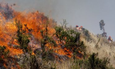 COEN: Nueve viviendas afectadas por incendios forestales se reportan en el país