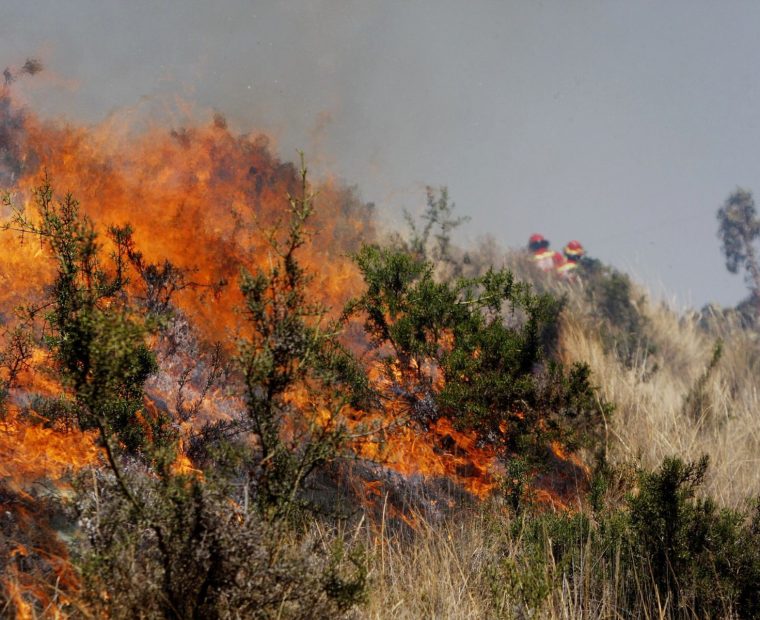 COEN: Nueve viviendas afectadas por incendios forestales se reportan en el país