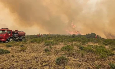 Defensoría del Pueblo pide que se declare estado de emergencia en regiones afectadas por incendios forestales