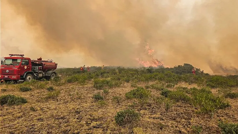 Defensoría del Pueblo pide que se declare estado de emergencia en regiones afectadas por incendios forestales