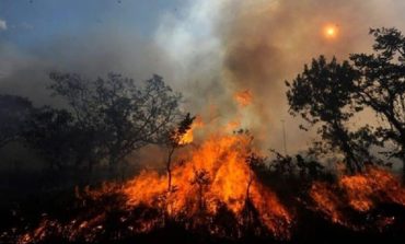 UNICEF: Niños, niñas y gestantes afectados por humo de incendios forestales