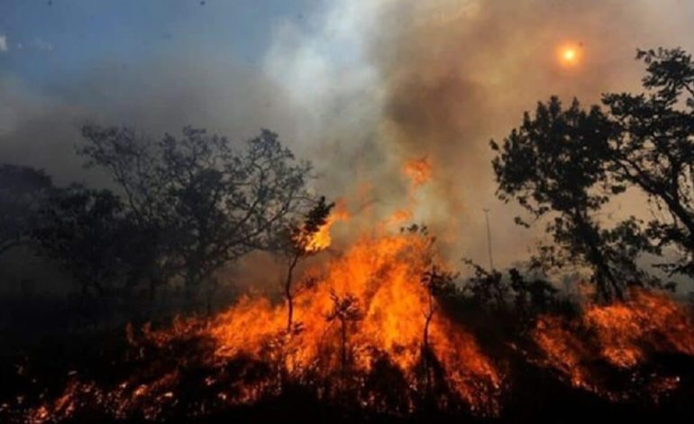 UNICEF: Niños, niñas y gestantes afectados por humo de incendios forestales