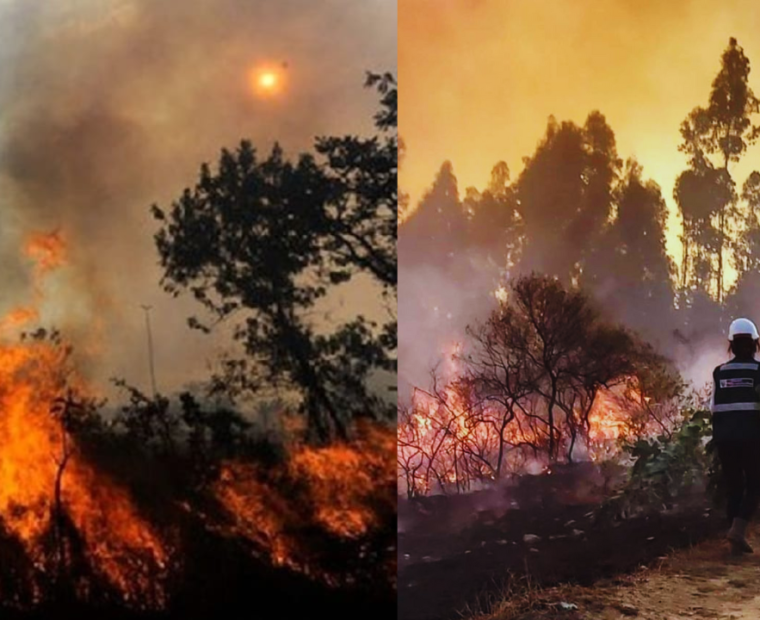 INDECI: Incendios forestales han cobrado la vida de 10 personas