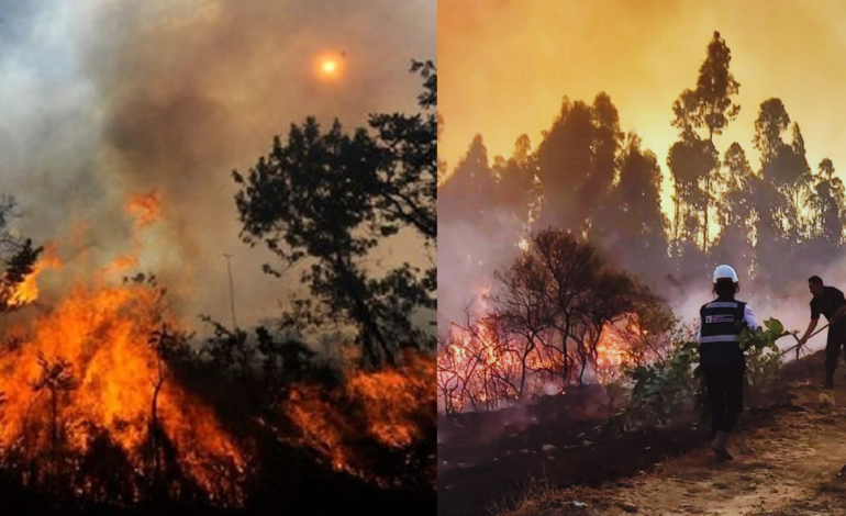 INDECI: Incendios forestales han cobrado la vida de 10 personas