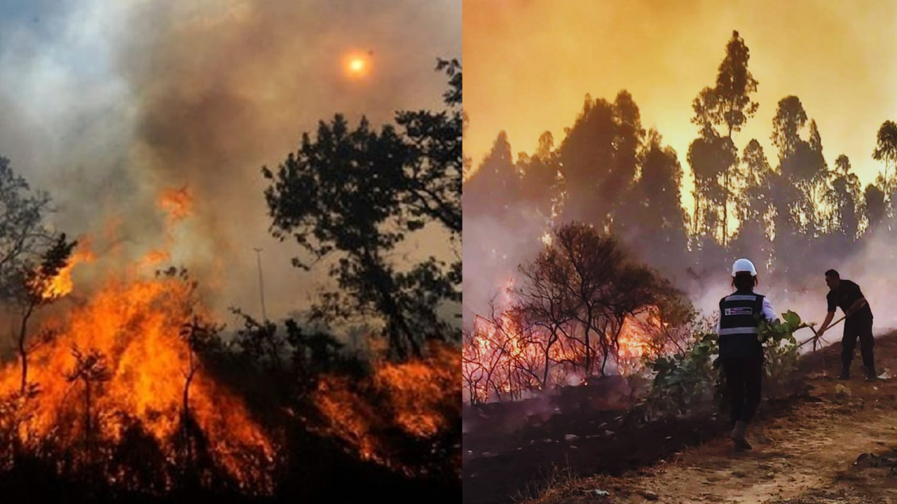 INDECI: Incendios forestales han cobrado la vida de 10 personas