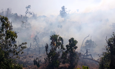 Midagri exhorta a agricultores piuranos a evitar quemas de residuos agrícolas que ocasionan incendios forestales