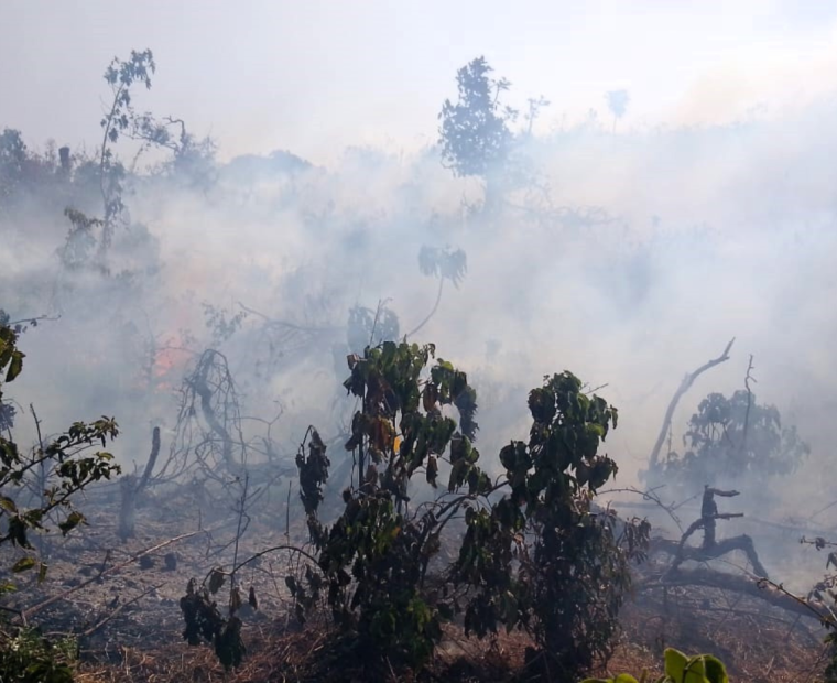 Piura: entre las regiones que solicitan sea declarada en emergencia por incendio forestales