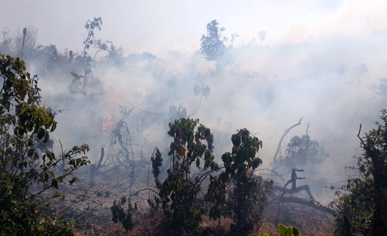 Piura: entre las regiones que solicitan sea declarada en emergencia por incendio forestales