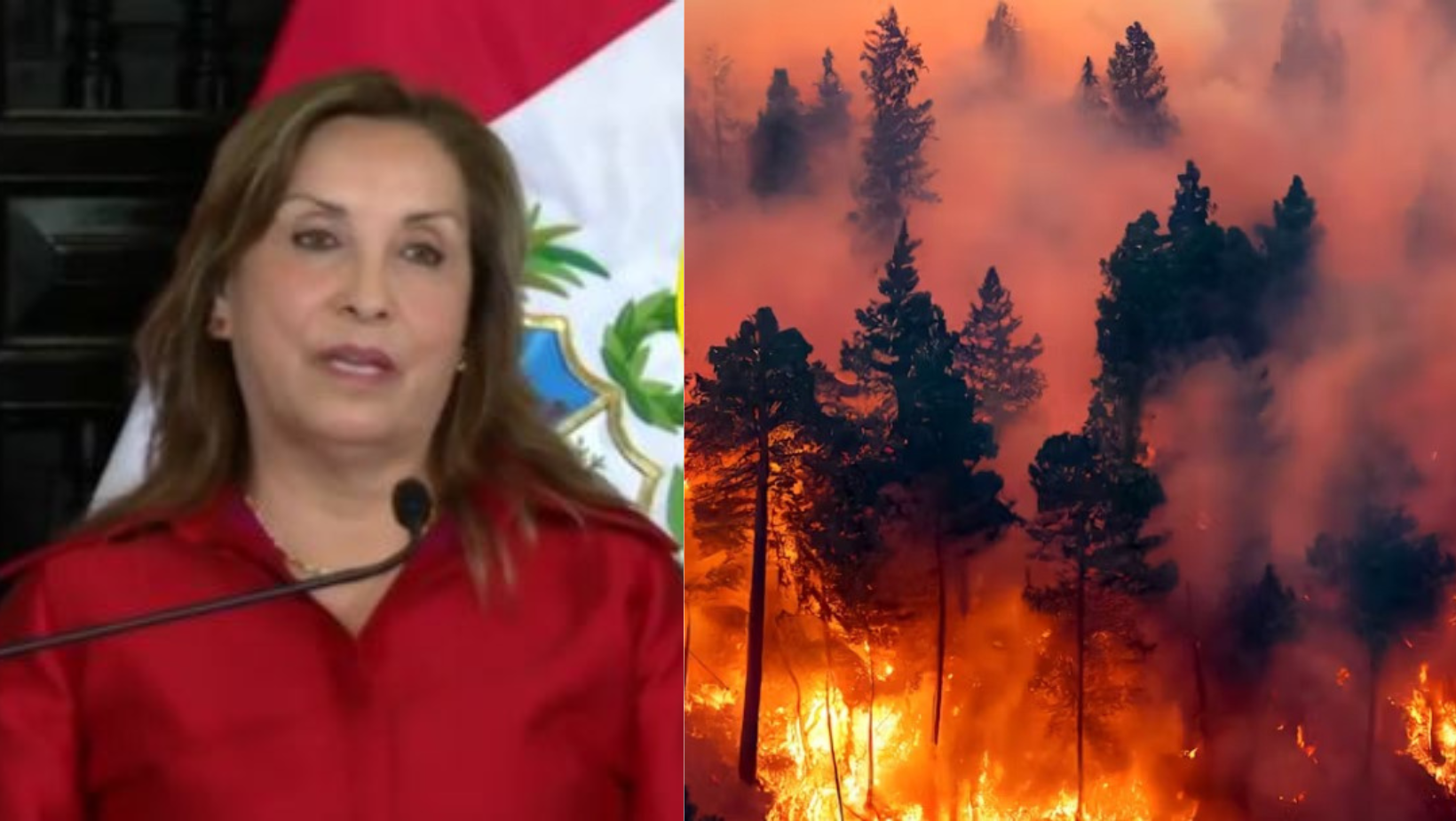 Gobierno declara estado de emergencia en Amazonas, San Martín y Ucayali por incendios forestales