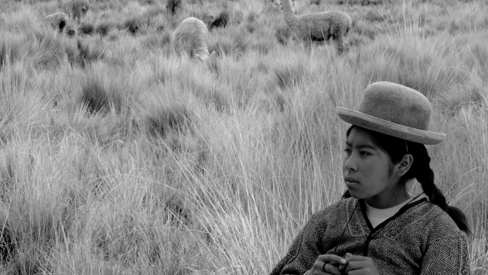 “Yana-Wara” busca alcanzar nominación para los Premios Óscar y Goya