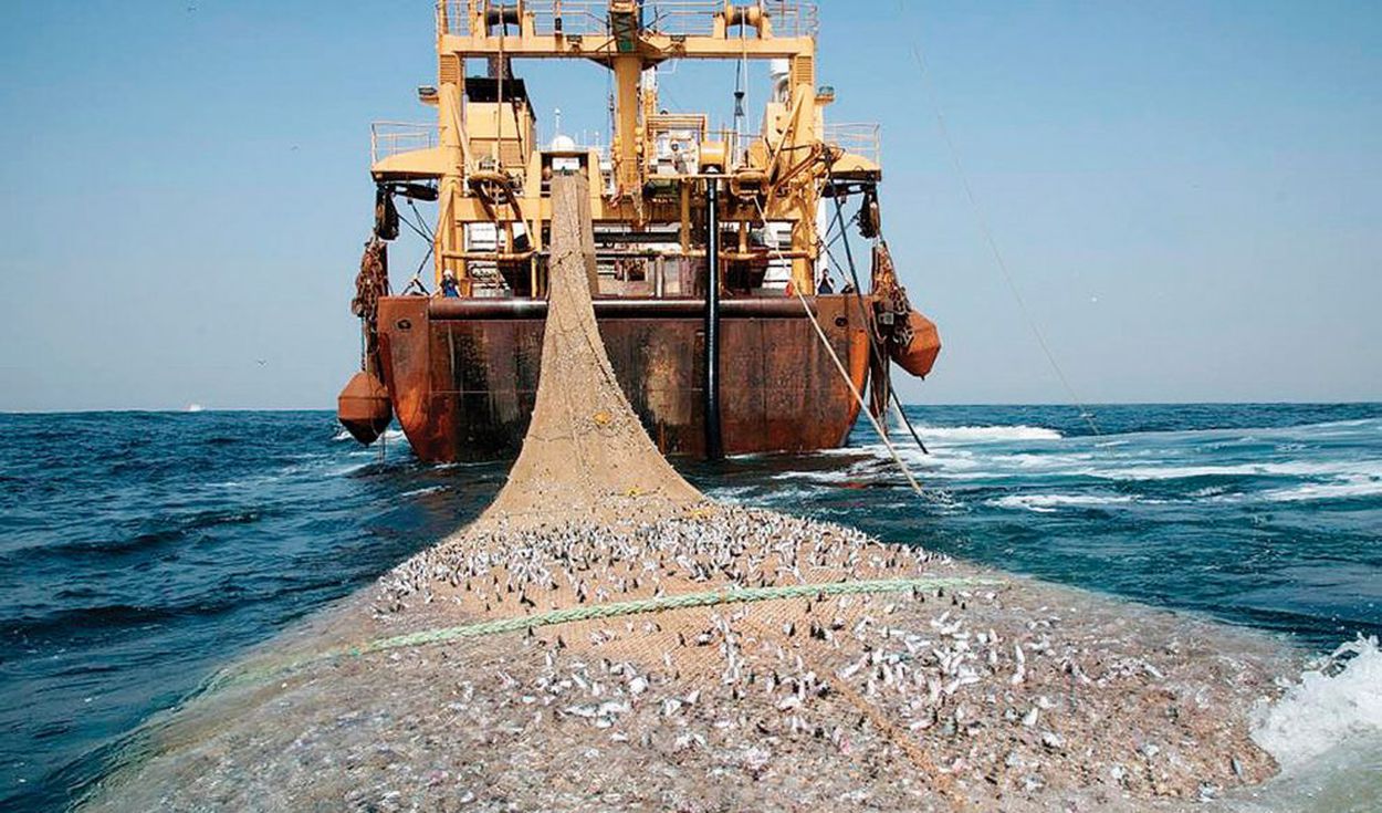 Lucha contra la pesca ilegal: embarcaciones extranjeras serán seguidas por satélite