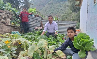 Piura: Escolares de Ayabaca, Huancabamba y Morropón instalan biohuertos