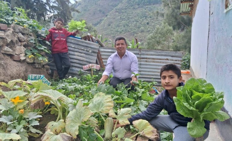 Piura: Escolares de Ayabaca, Huancabamba y Morropón instalan biohuertos