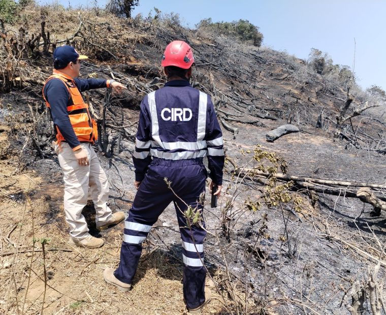 Piura: Incendio forestal se propaga y condiciones climáticas no permiten la llegada de helicópteros