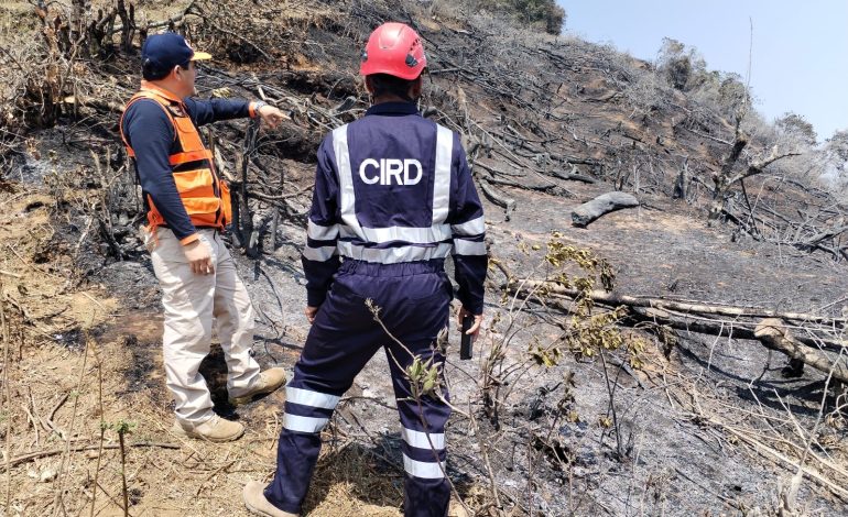 Piura: Incendio forestal se propaga y condiciones climáticas no permiten la llegada de helicópteros