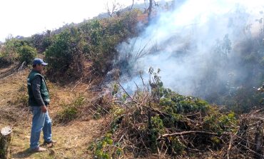 Nueve incendios forestales se han registrado en las últimas semanas en la sierra de Piura