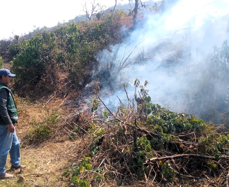 Nueve incendios forestales se han registrado en las últimas semanas en la sierra de Piura