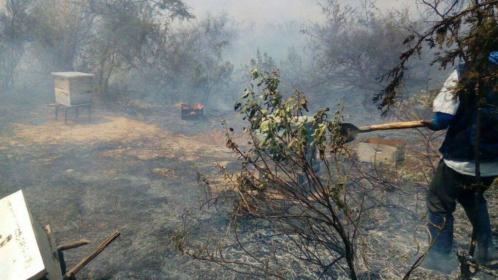 Piura: COER entrega ayuda a municipalidades afectadas por los incendios forestales en la región