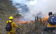 Colegios: Sernanp propone enseñar a estudiantes los peligros que significan los incendios forestales