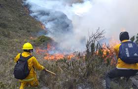 Colegios: Sernanp propone enseñar a estudiantes los peligros que significan los incendios forestales