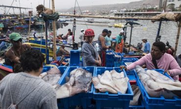 La pesca de pota enfrenta una crisis producida por la presencia de barcos chinos