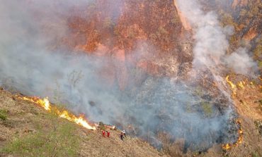 Incendios forestales: Cusco registra 379 siniestros y tres fallecidos este año