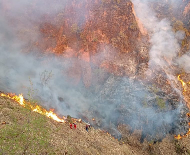 Incendios forestales: Cusco registra 379 siniestros y tres fallecidos este año