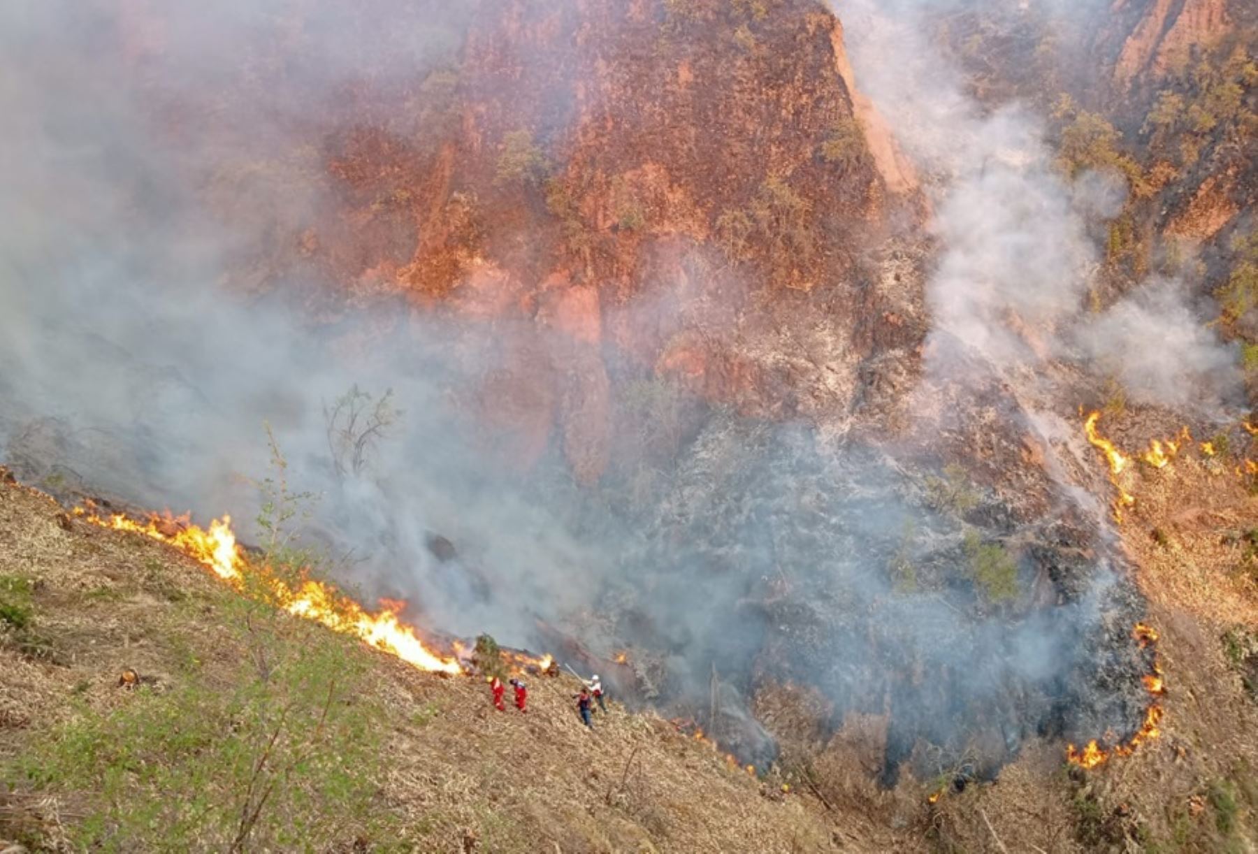 Incendios forestales: Cusco registra 379 siniestros y tres fallecidos este año