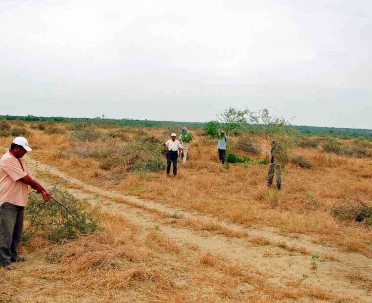 La ANA toma acciones para abordar eventual sequía en la cuenca Chira-Piura