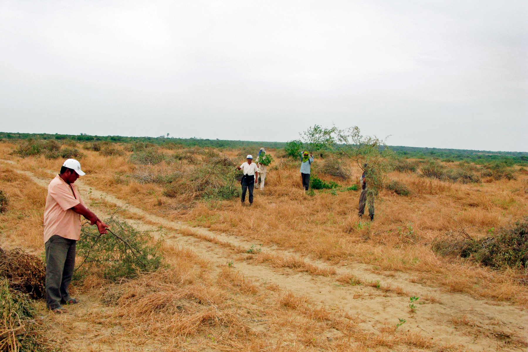 La ANA toma acciones para abordar eventual sequía en la cuenca Chira-Piura