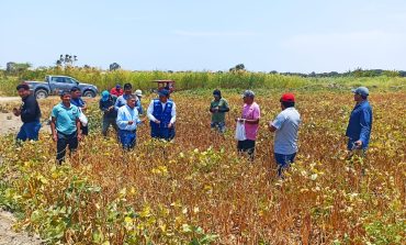 Piura: Queda restringido el suministro de agua para fines agrícolas