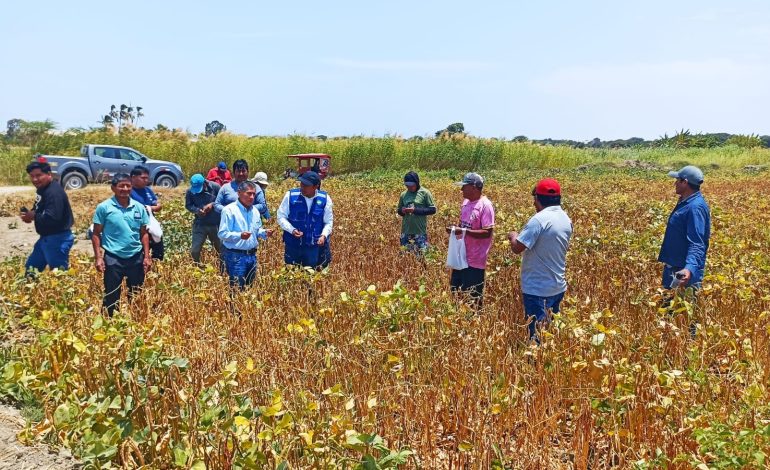 Piura: Queda restringido el suministro de agua para fines agrícolas