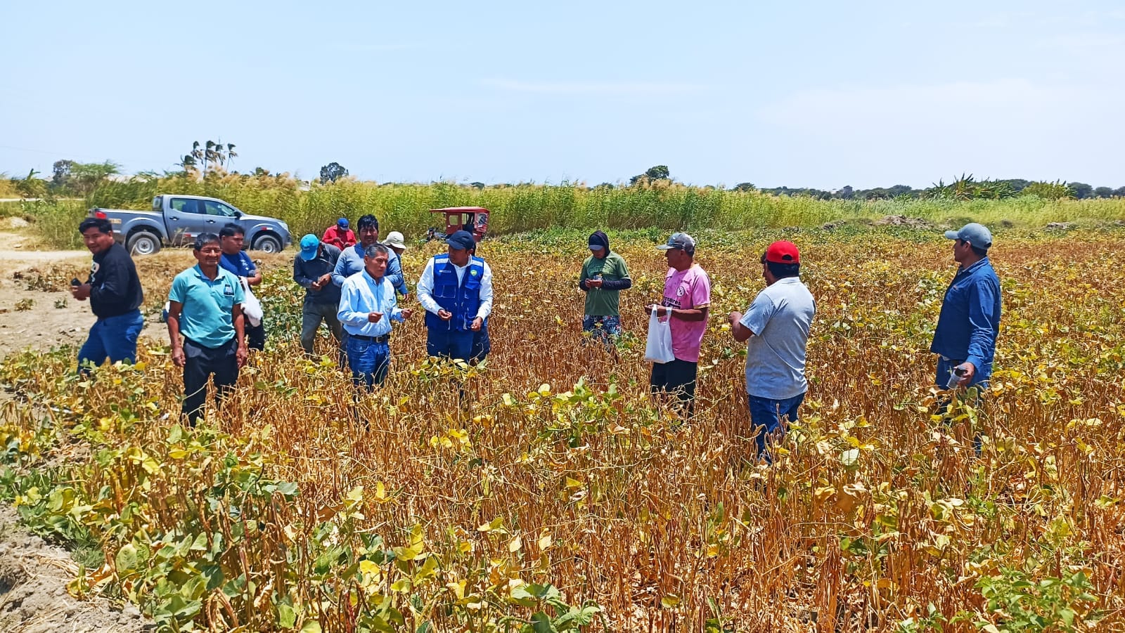 Piura: Queda restringido el suministro de agua para fines agrícolas