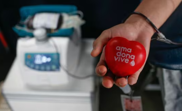 ¿Donar sangre causa anemia? Conoce aquí los mitos y verdades sobre la donación de sangre