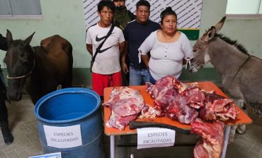 Piura: “Carroñeros” pretendían colocar carne de perro en restaurantes y mercados de Sullana