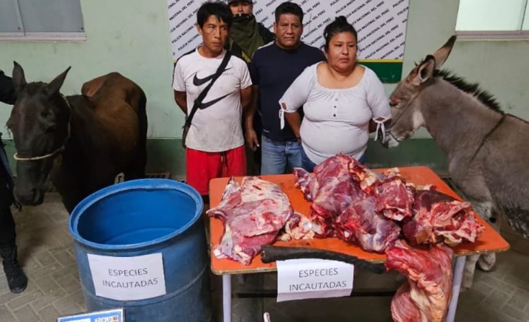 Piura: “Carroñeros” pretendían colocar carne de perro en restaurantes y mercados de Sullana