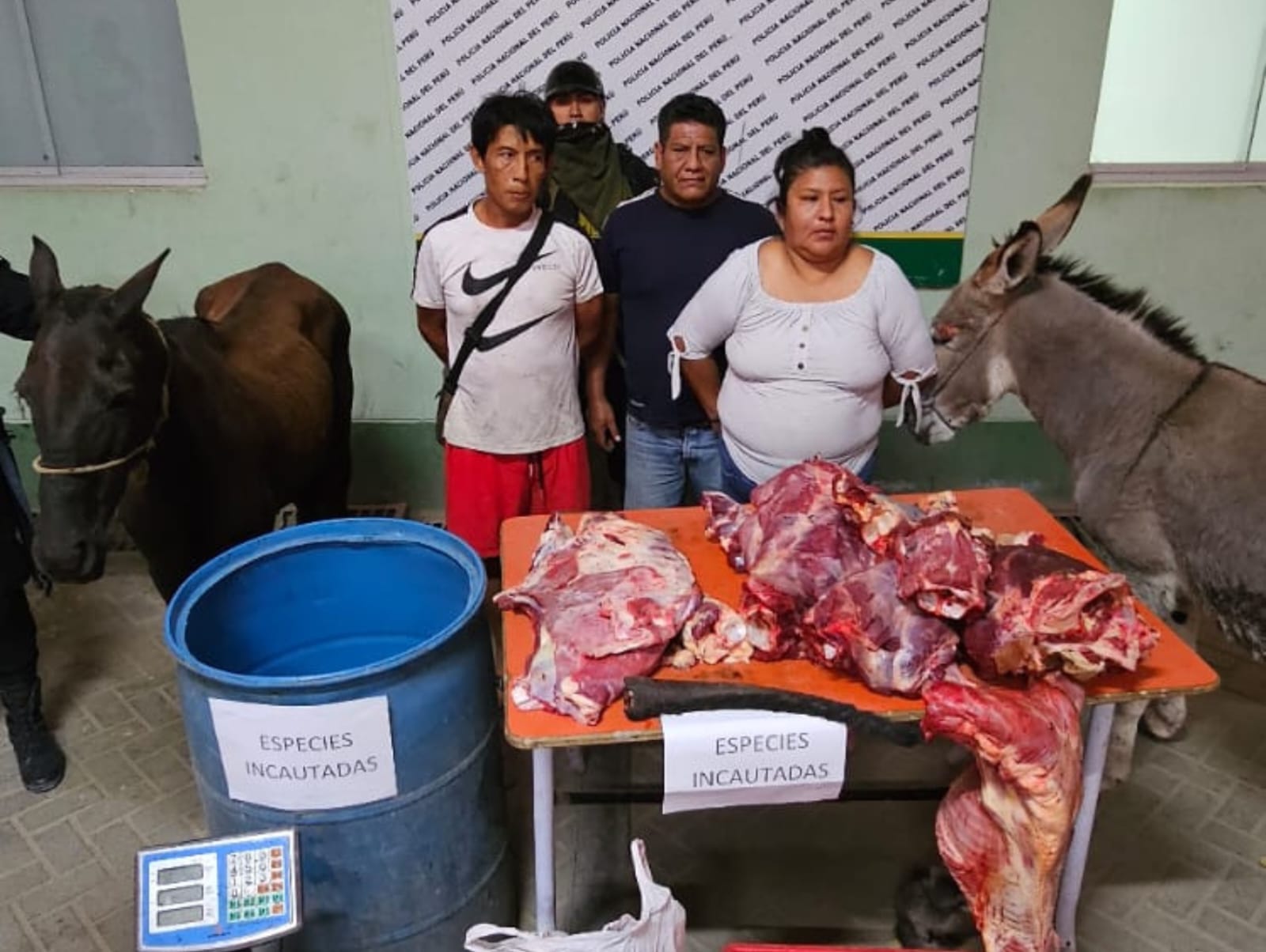 Piura: “Carroñeros” pretendían colocar carne de perro en restaurantes y mercados de Sullana