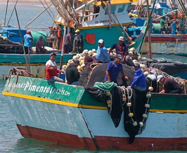 Piura: Pescadores artesanales en crisis por contaminación y falta de políticas pesqueras