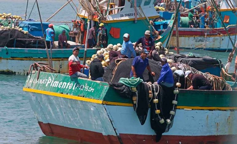 Piura: Pescadores artesanales en crisis por contaminación y falta de políticas pesqueras