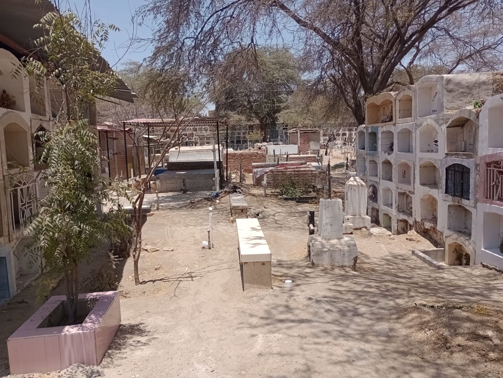 Piura: Cementerio Virgen del Carmen está sucio y abandonado por las autoridades