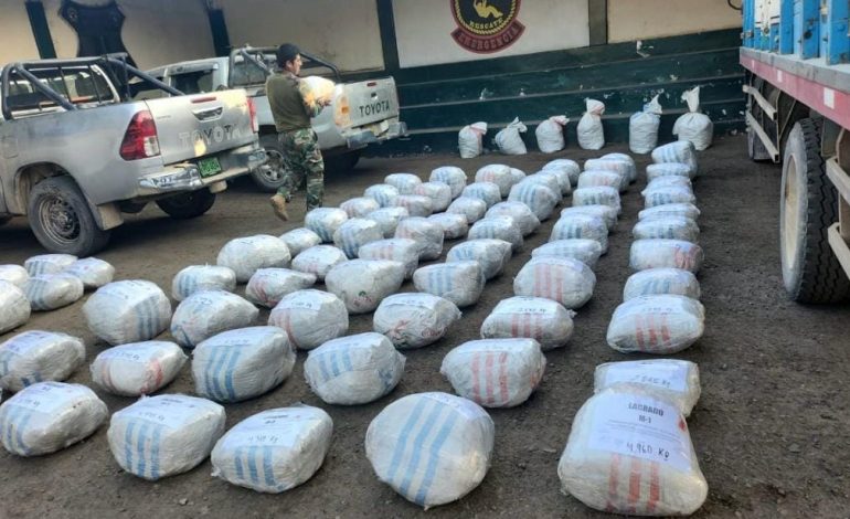 Piura: Pota camuflaba una tonelada de droga que tenía como destino Bélgica