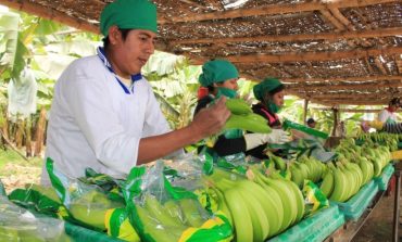 Piura: CAMCO indica que economía en la región se recupera lentamente