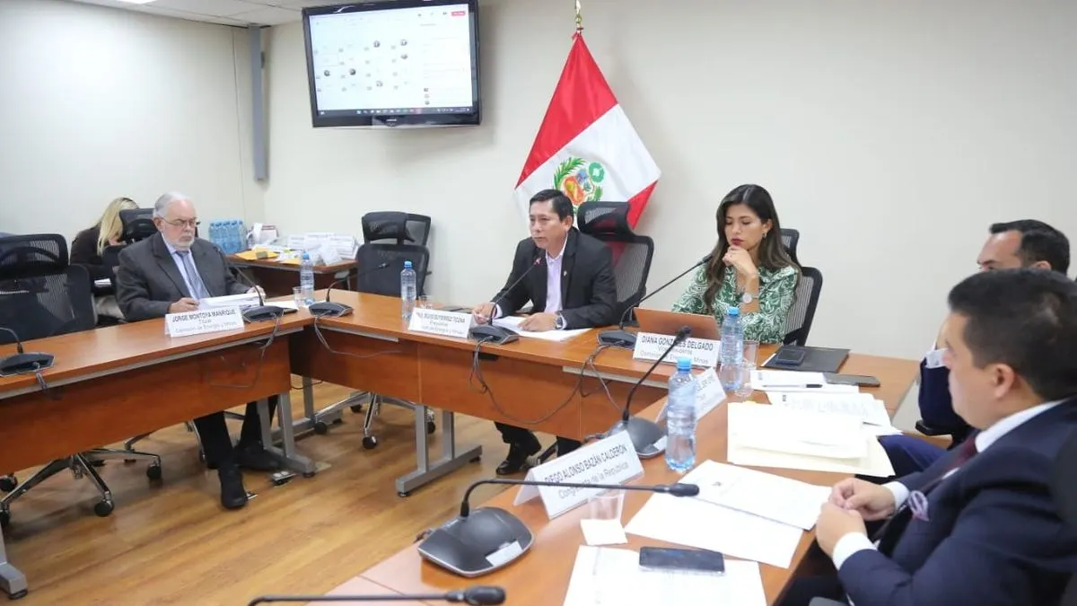 Comisión de Energía y Minas aprobó dictamen que amplía el Reinfo hasta el 30 de junio del 2025